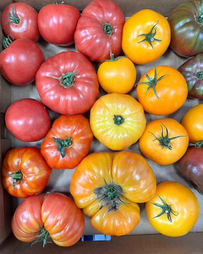 Chef Tips: Helping Local Food Last Longer