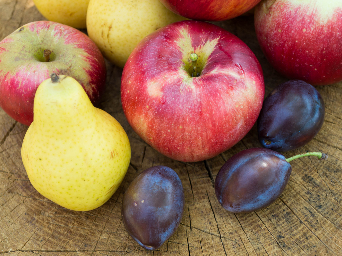 FIRST FALL FRUIT SHARE