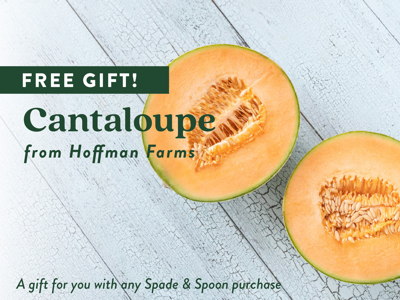 FREE GIFT! CANTALOUPE FROM HOFFMAN FARMS