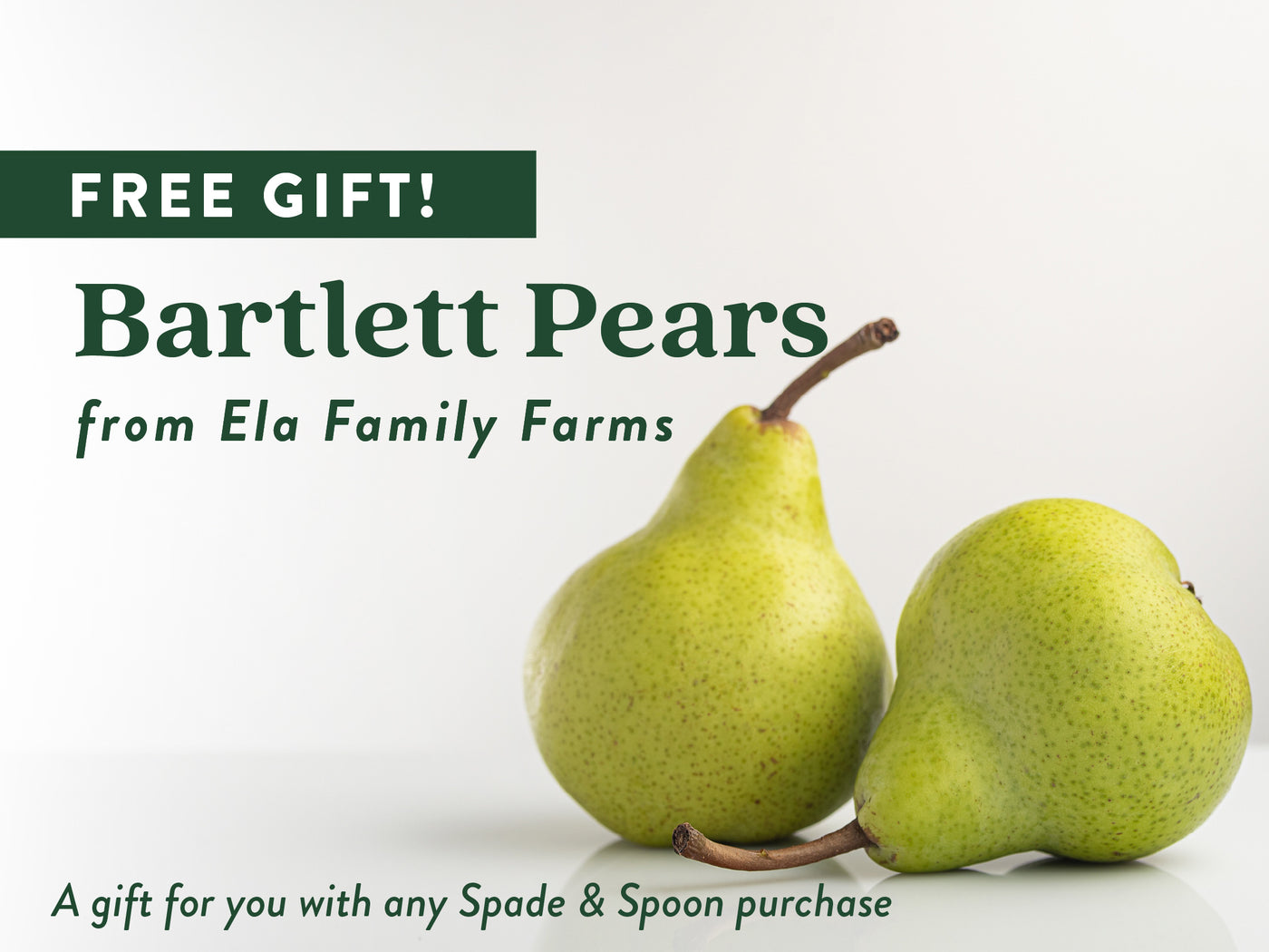 FREE GIFT! ELA FARMS BARTLETT PEARS